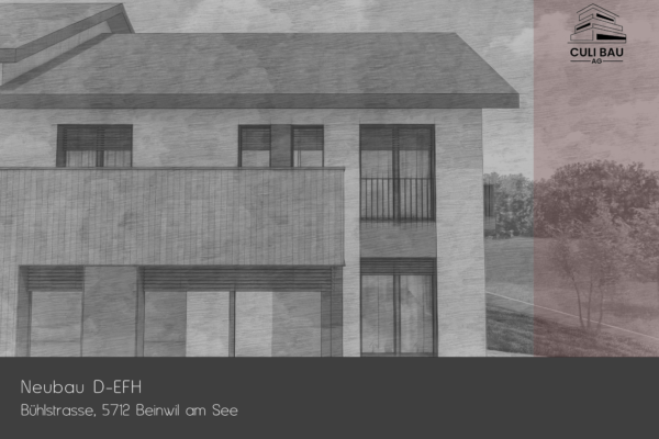 Vorprojekt Beinwil am See images 0